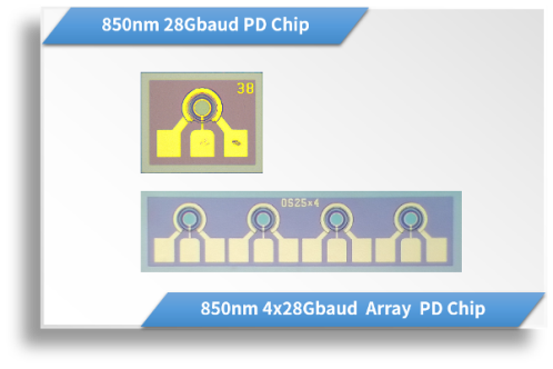 850nm 28Gbaud PD Chip / 4x28Gbaud Array PD Chip